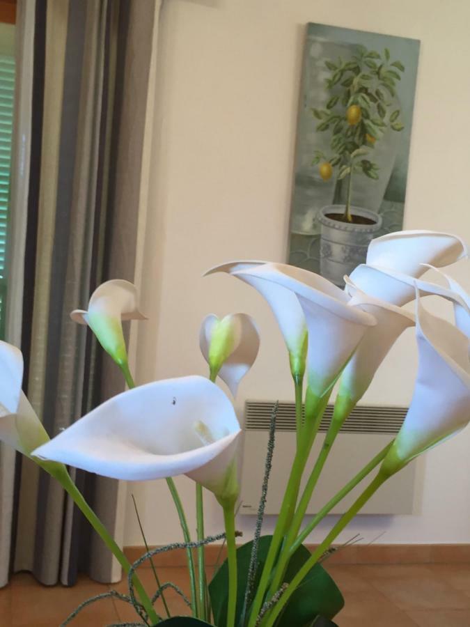 Apartament Le Bellevue- Martinon Utelle Zewnętrze zdjęcie
